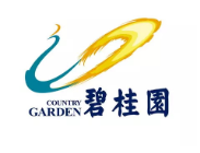 浦东碧桂园地产